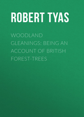 Woodland Gleanings: Being an Account of British Forest-Trees
