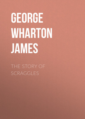 The Story of Scraggles
