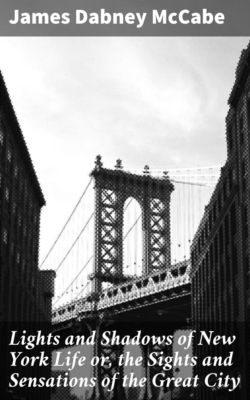 Lights and Shadows of New York Life or, the Sights and Sensations of the Great City
