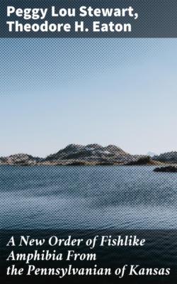 A New Order of Fishlike Amphibia From the Pennsylvanian of Kansas