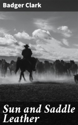 Sun and Saddle Leather