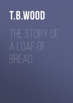 The Story of a Loaf of Bread