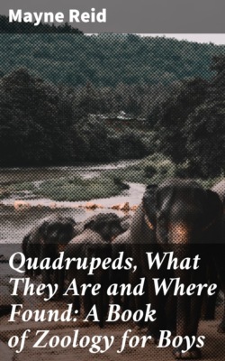 Quadrupeds, What They Are and Where Found: A Book of Zoology for Boys