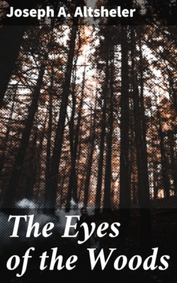 The Eyes of the Woods