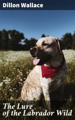 The Lure of the Labrador Wild