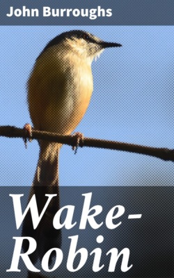 Wake-Robin