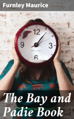 The Bay and Padie Book