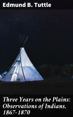 Three Years on the Plains: Observations of Indians, 1867-1870