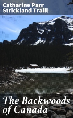 The Backwoods of Canada
