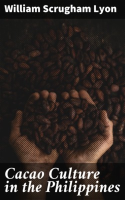 Cacao Culture in the Philippines