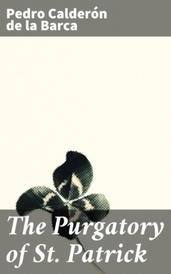 The Purgatory of St. Patrick