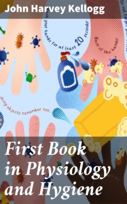 First Book in Physiology and Hygiene