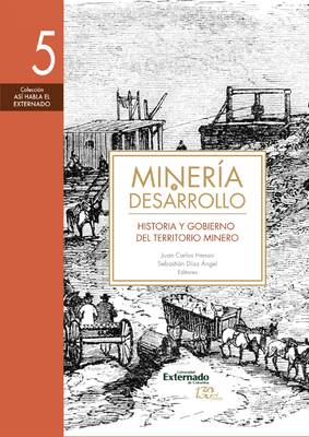 Minería y desarrollo. Tomo 5