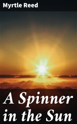 A Spinner in the Sun
