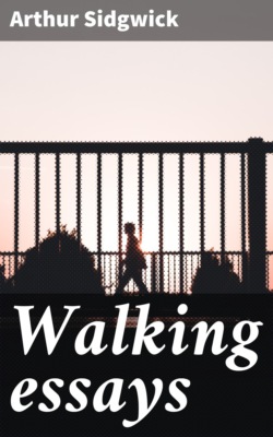 Walking essays