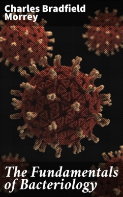 The Fundamentals of Bacteriology
