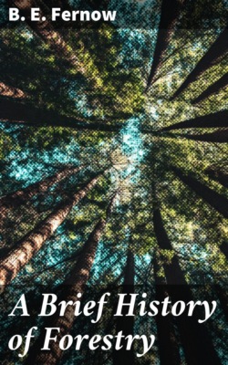 A Brief History of Forestry