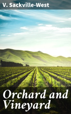 Orchard and Vineyard