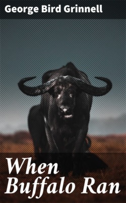 When Buffalo Ran