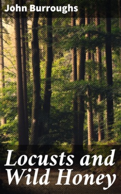 Locusts and Wild Honey