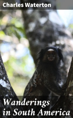 Wanderings in South America