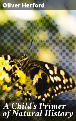 A Child's Primer of Natural History