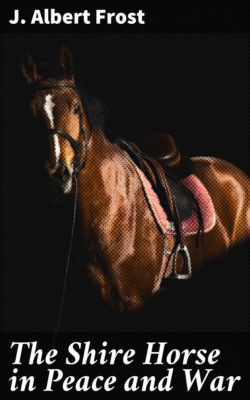 The Shire Horse in Peace and War