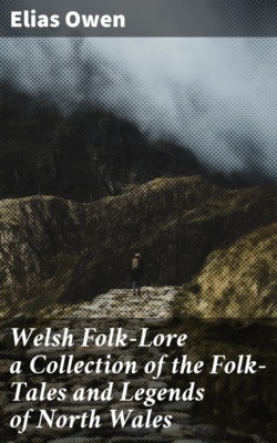 Welsh Folk-Lore a Collection of the Folk-Tales and Legends of North Wales