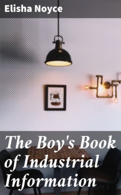 The Boy's Book of Industrial Information