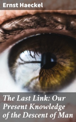 The Last Link: Our Present Knowledge of the Descent of Man