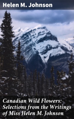 Canadian Wild Flowers: Selections from the Writings of Miss Helen M. Johnson