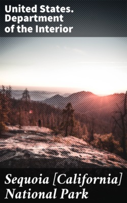 Sequoia [California] National Park