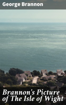 Brannon's Picture of The Isle of Wight