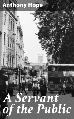 A Servant of the Public