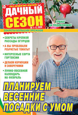 Дачный сезон №01-02/2020