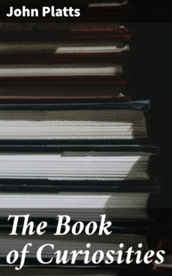 The Book of Curiosities