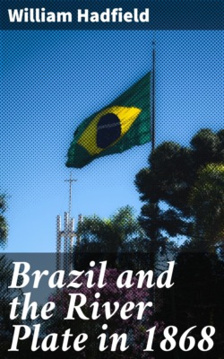 Brazil and the River Plate in 1868