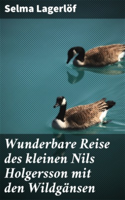 Wunderbare Reise des kleinen Nils Holgersson mit den Wildgänsen