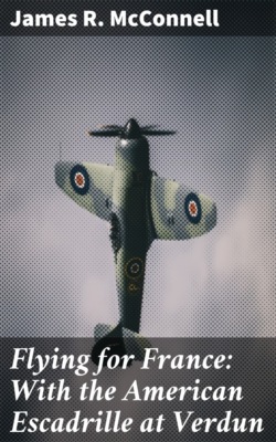 Flying for France: With the American Escadrille at Verdun