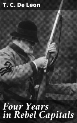 Four Years in Rebel Capitals