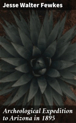 Archeological Expedition to Arizona in 1895