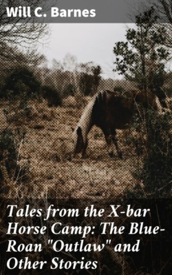Tales from the X-bar Horse Camp: The Blue-Roan "Outlaw" and Other Stories