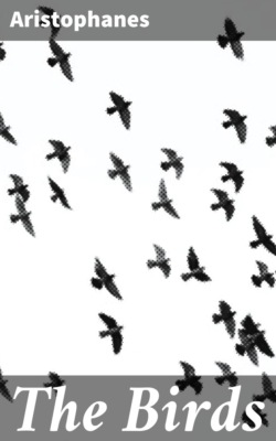 The Birds