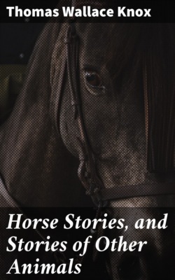 Horse Stories, and Stories of Other Animals