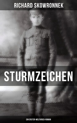 Sturmzeichen (Ein Erster-Weltkrieg-Roman)