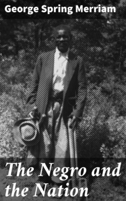 The Negro and the Nation