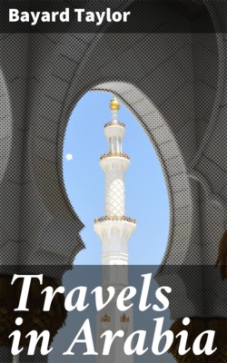 Travels in Arabia