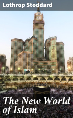 The New World of Islam