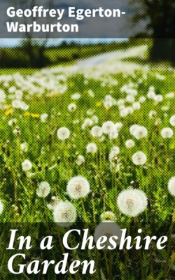 In a Cheshire Garden