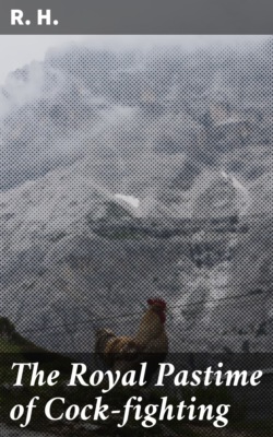 The Royal Pastime of Cock-fighting